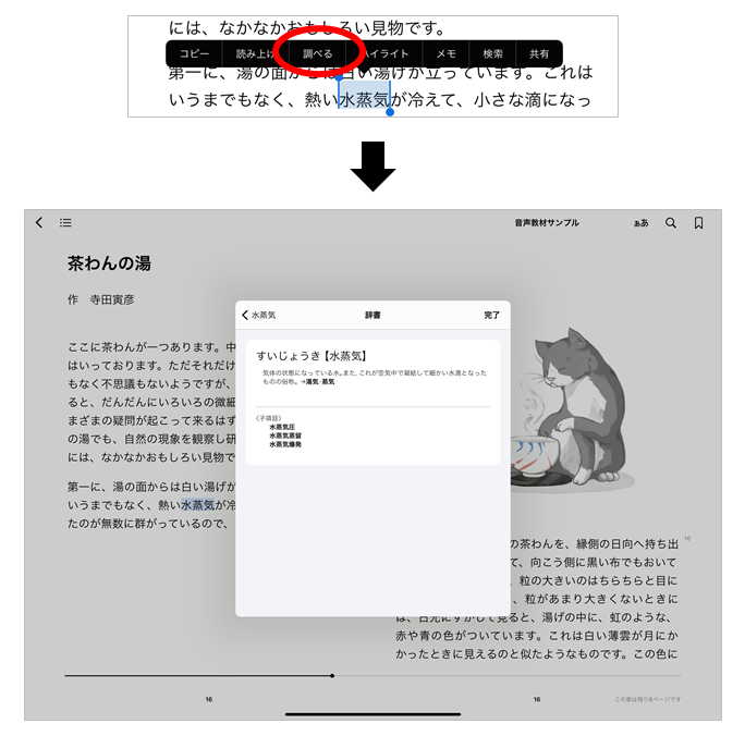 iPadOS版Apple Booksでの単語を選択して辞書を引いてみた例